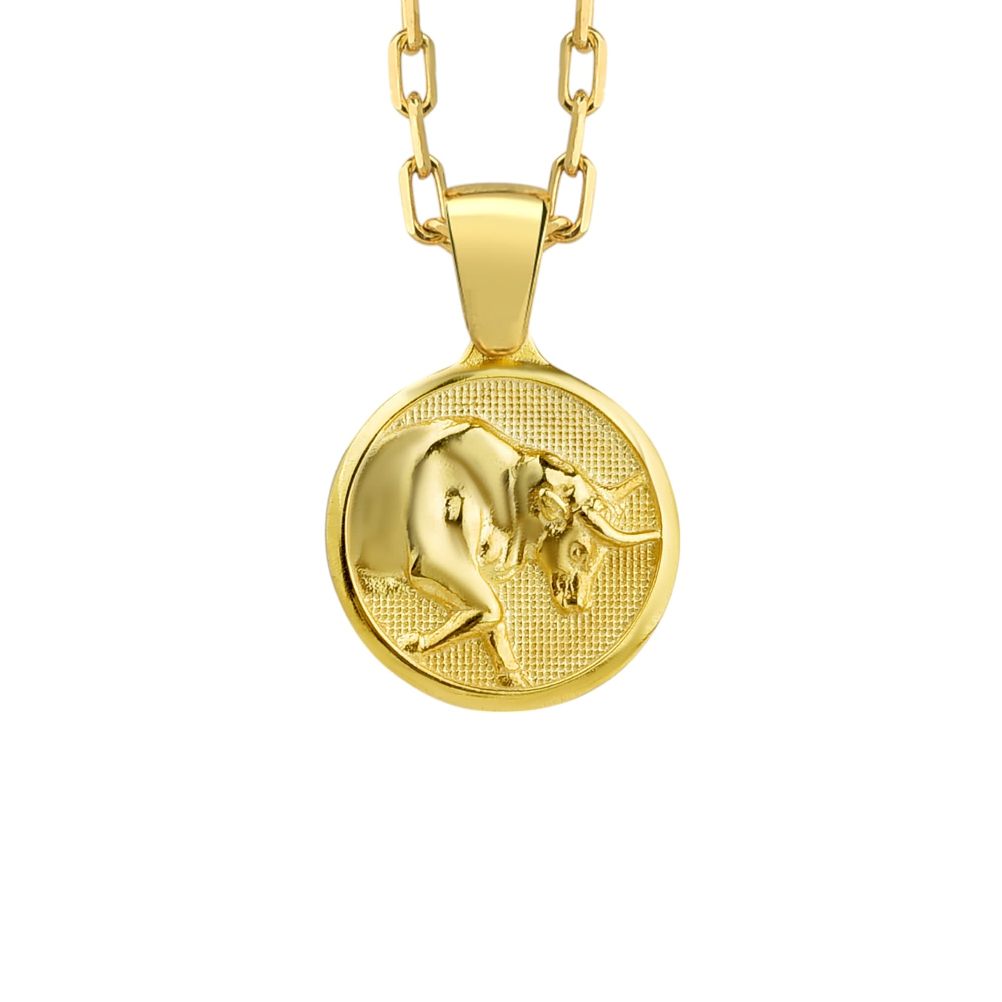 The Rollerstone Taurus Zodiac 925k Sterling Silver Necklace with Chain for Women Gift jewellery